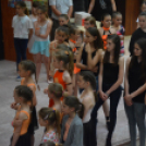 Nyárcsalogató (Fotó: Nagy Mária)