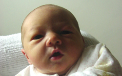 Virág Fanni-Lébény