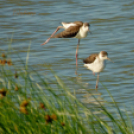 Tilai Gergely - Kerekesszéktől az önálló fotókiállításig