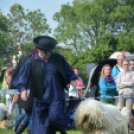 CAC kutyakiállítás (Fotó: Nagy Mária)