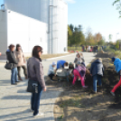 Faültetés a Nolato-nál (Fotó: Nagy Mária)