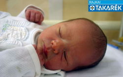 Kromperger Lajos, Ásványráró