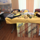 XIX. Mosonmagyaróvári Civil Nap 