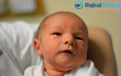 Hincsics Leander Márk, 2990 gr. Darnózseli