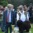 CAC kutyakiállítás (Fotó: Nagy Mária)