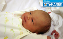 Fazekas Dávid, Mosonmagyaróvár