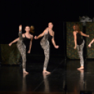 Okay Dance Gála 2015 II.