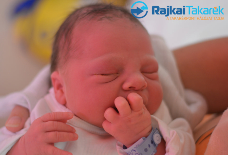 Pintér Krisztofer Benjámin, Mosonmagyaróvár