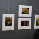 Gombafotó kiállítás (Fotó: Nagy Mária)