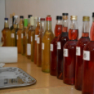 Borkóstoló a Kertbarátoknál (Fotó: Nagy Mária)