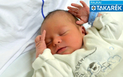 Samu Dominik, Jánossomorja