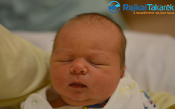 Zsugonics Nimród Bulcsú, 3830 gr. Móvár