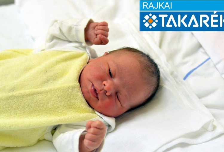 Szücs Alexandra, Feketeerdő