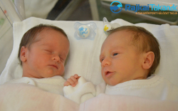 Mayer Márton és Lilla, 2240 gr, 2070 gr Lö