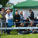 CAC kutyakiállítás (Fotó: Nagy Mária)