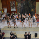 Nyárcsalogató (Fotó: Nagy Mária)