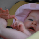 2 Kéklámpás nap (Fotó: Nagy Mária)