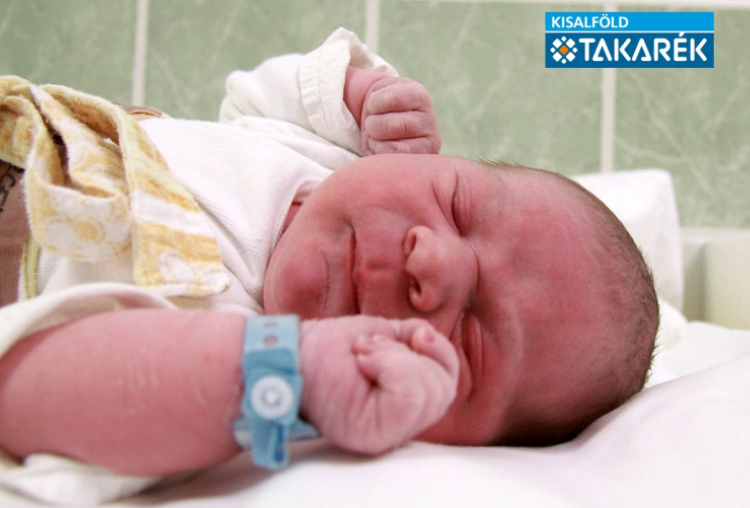 Knoll Marcell, Mosonmagyaróvár