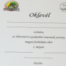 Ujhelyi Imre Általános Iskola - Életvitel és Gyakorlati ismeretek verseny megyei fordulója