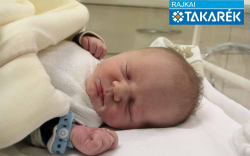 Völgyi Milán, Mosonmagyaróvár