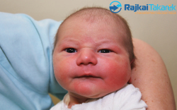 Onódi Máté, 3980 gr. Halászi