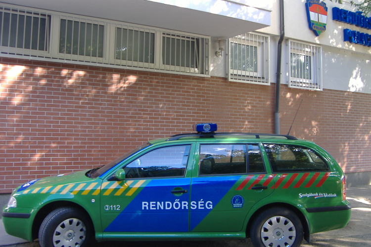 Migrációs ellenőrzés