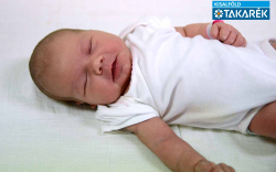 Rigó-Kobsz Szófia, Halászi