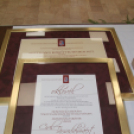 XIX. Mosonmagyaróvári Civil Nap 