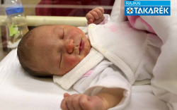 Wolf Evelin Viktória, Mosonmagyaróvár