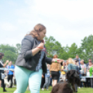 CAC kutyakiállítás (Fotó: Nagy Mária)