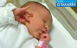 Horváth Angelika, Mosonmagyaróvár