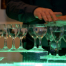 A Magyar Kultúra Napja 2018 a Cselley-házban