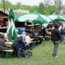 VÁROSI MAJÁLIS 2015 (Fotó: Horváth Attila)