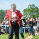 CAC kutyakiállítás (Fotó: Nagy Mária)