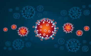 Egyes felületeken akár két-három napig is megél a koronavírus