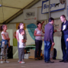 Szigetköz ízei, vármegye borai fesztivál / VÁRMEGYE SZÉPE - VÁRMEGYE HANGJA (Fotó: Horváth Attila)