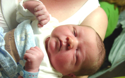 Csiszár Noel-Mosonmagyaróvár