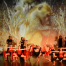 FlexArt Dance (Fotó: Stipkovits Veronika és Bánhegyi István)