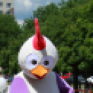 Fáklyafutás, XIV. Európai Ifjúsági Olimpiai Fesztivál Győr 2017 