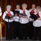 Nyugdíjas Ki-Mit-Tud DÖNTŐ 2014  (14:00 - 15:00)