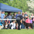 CAC kutyakiállítás (Fotó: Nagy Mária)