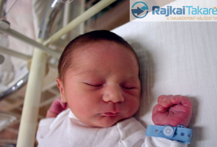 Takács Zalán, Mosonmagyaróvár