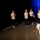 Jótékonysági műsor - Fehér és Máltai Szeretetszolgálat az Éltes iskola javára (Fotó: Horváth Attila)