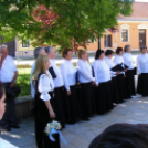 Német kitelepítési emléknap Mosonban