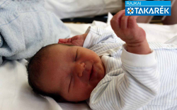 Makay Máté Gábor, Mosonmagyaróvár