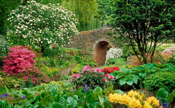 Magyarország legszebb konyhakertjei program