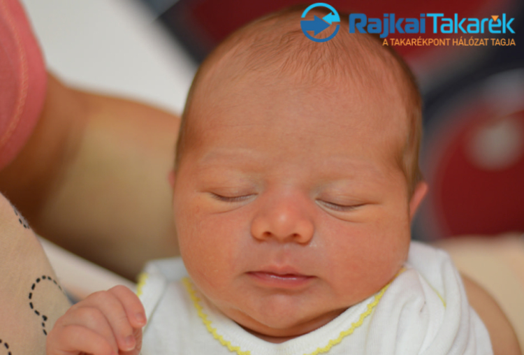 Felkai Benedek Máté, Mosonmagyaróvár