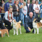 CAC kutyakiállítás (Fotó: Nagy Mária)