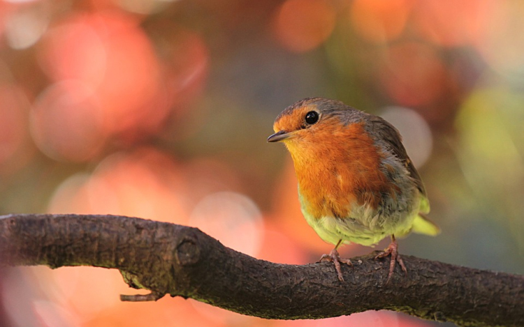 A héten ismét melegszik az idő