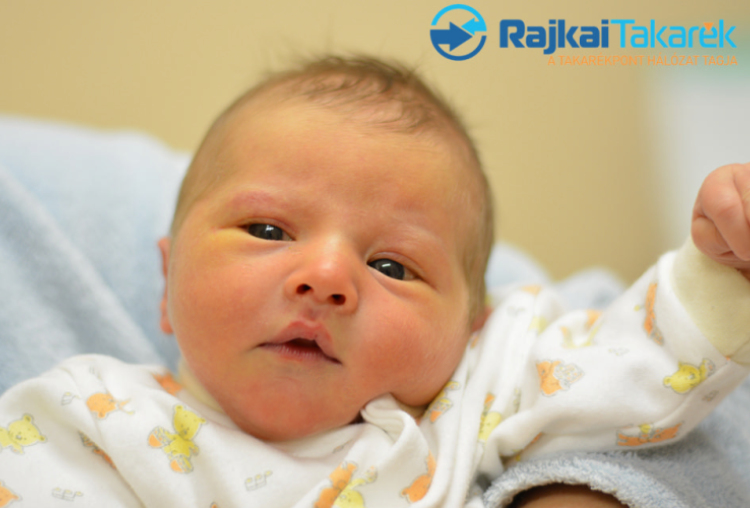 Mészáros Léna Zorka, Halászi